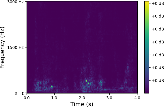Spectrum 6